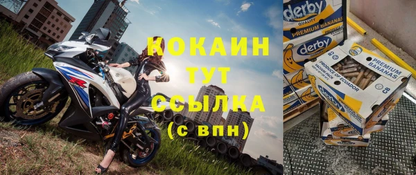 герыч Алексин