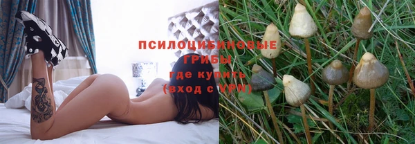 круглые Алзамай