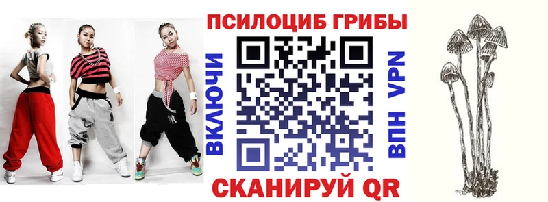 Галлюциногенные грибы Psilocybe  OMG tor  Льгов 